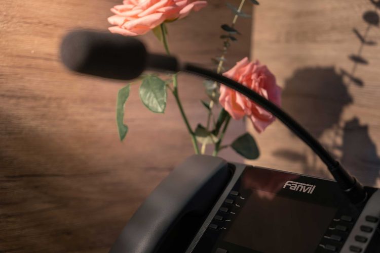 Fanvil X210i