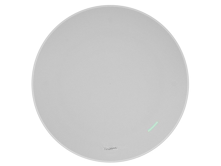 Yealink CS10-D